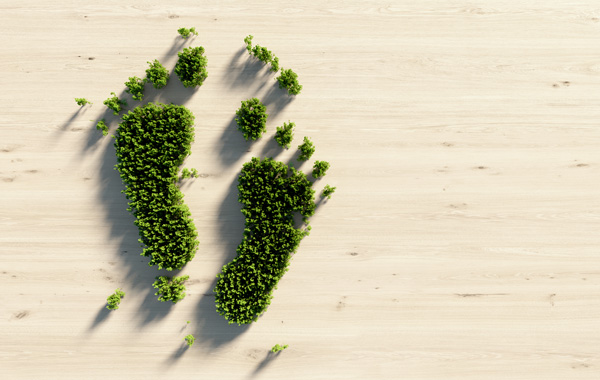 Umweltfreundliche Druckmedien - Grafik Fuesse aus Gras auf hellem Holzpanel