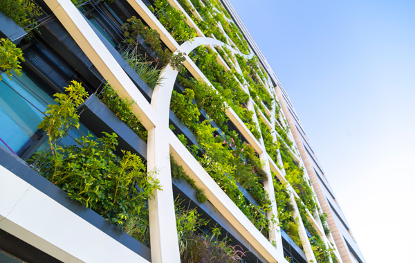 Nachhaltige Druckmedien – Bauelemente Fassade mit grünen Pflanzen 